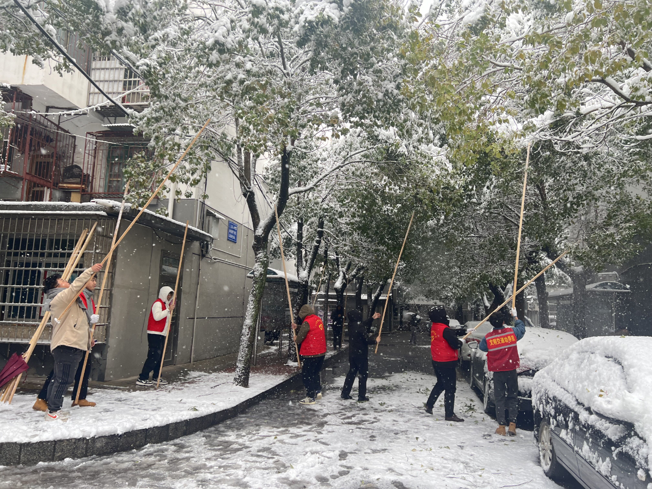 微信图片_20240124115719.jpg