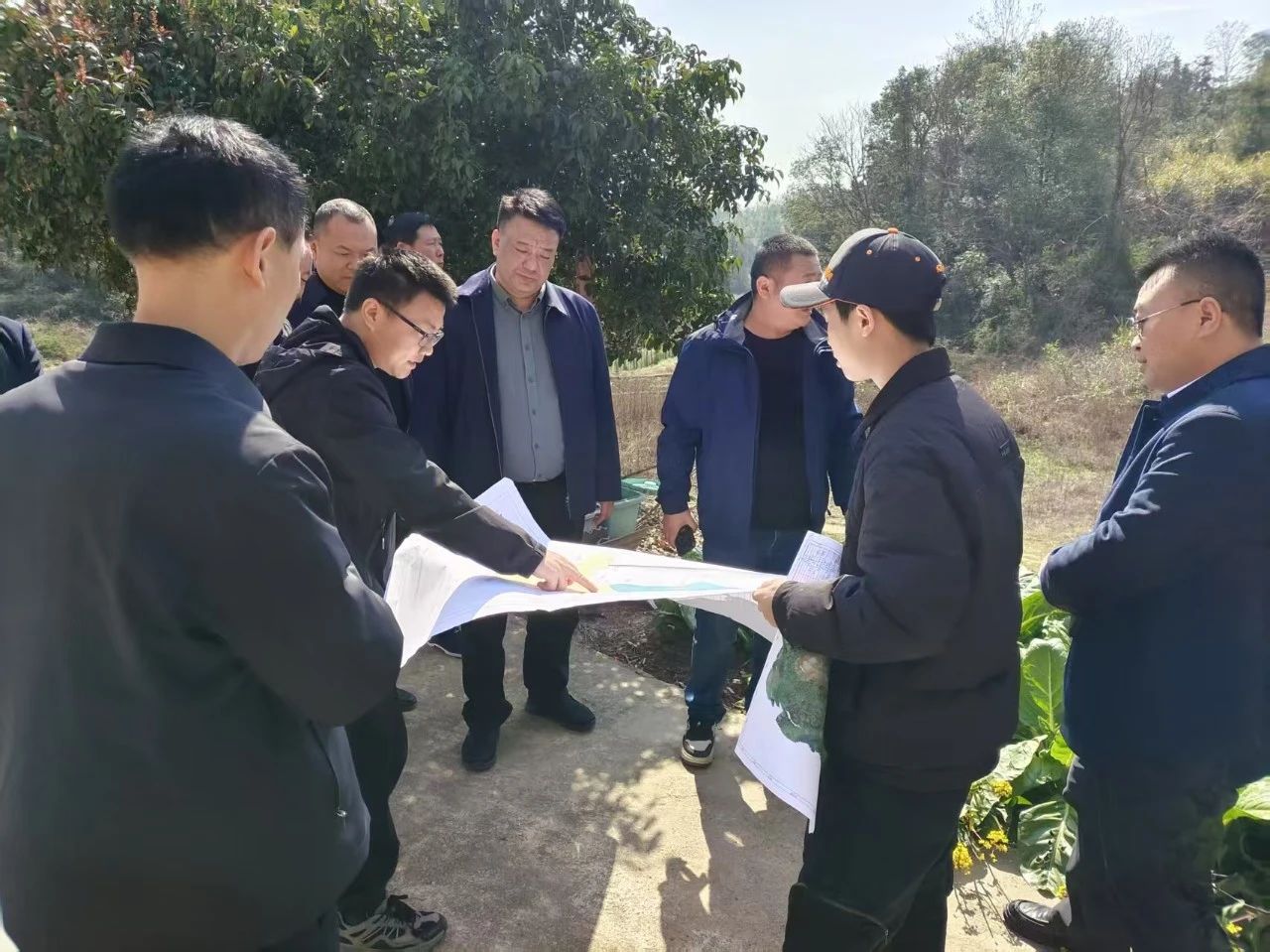 微信图片_20250430100402.jpg